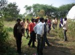Agriculture